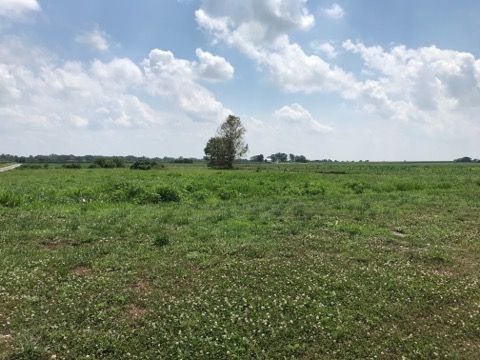 22987 Cherry Ln, Jerseyville, IL 62052